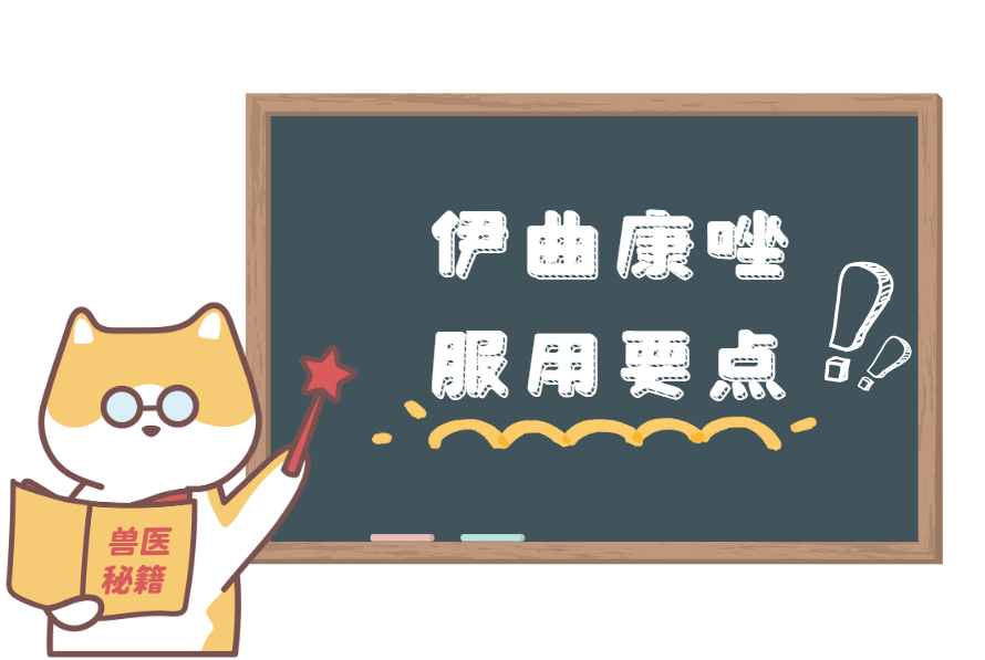 猫咪猫癣怎么治疗？