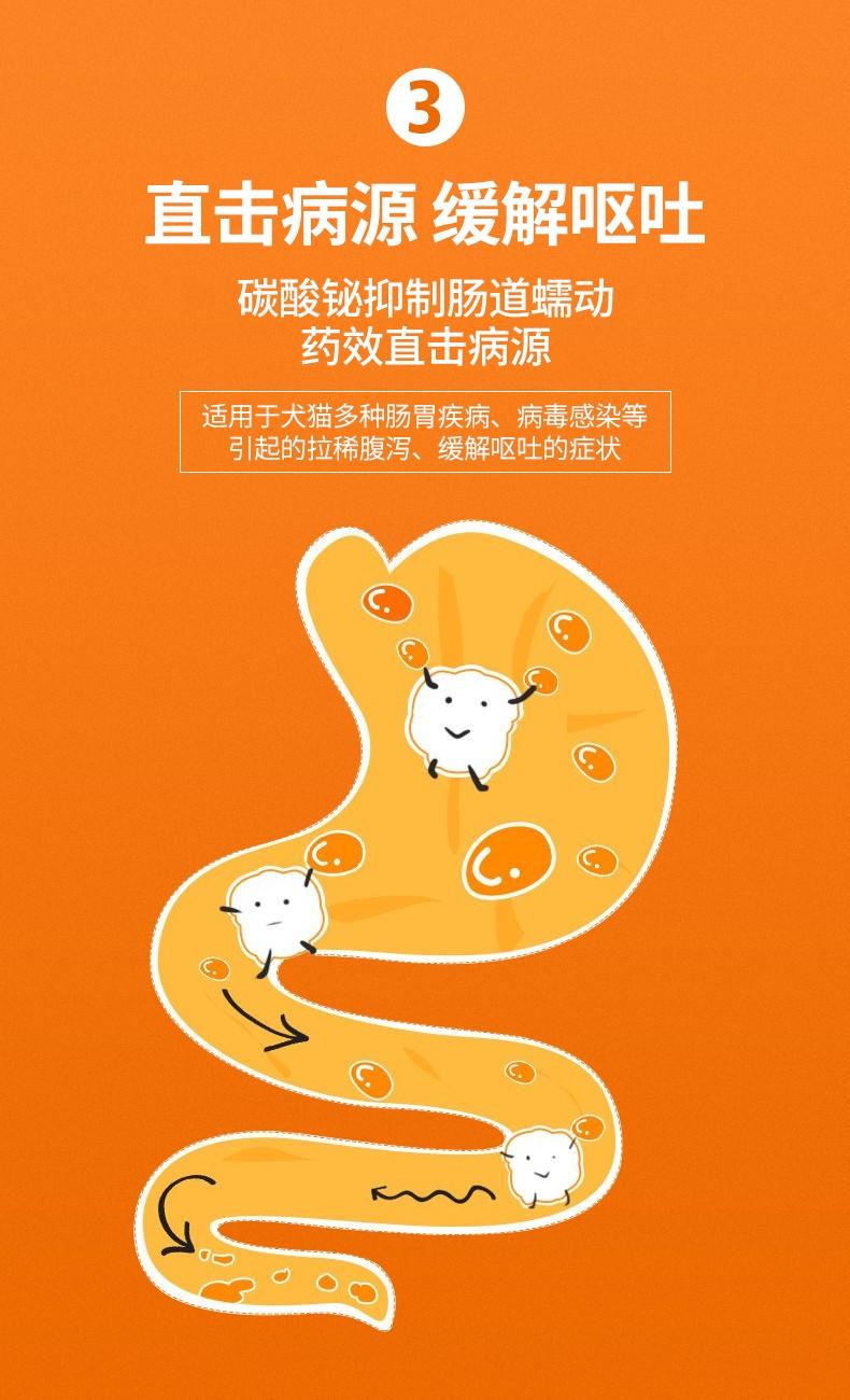 犬猫腹泻的常见病因