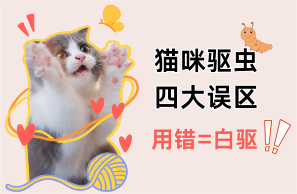 猫咪驱虫四大误区，快看看你中招没！