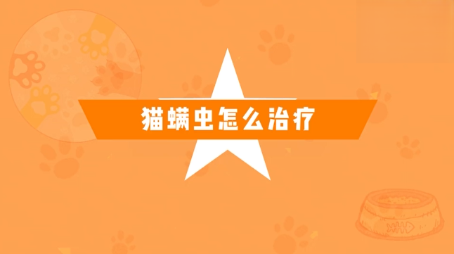 猫螨虫怎么治疗