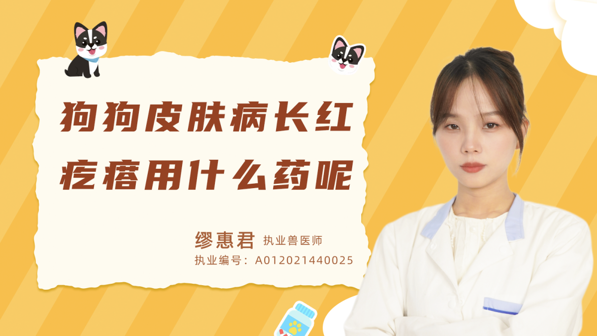 狗狗皮膚病長紅疙瘩用什麼藥呢？