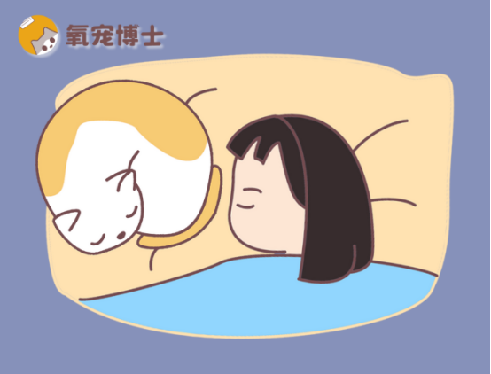 猫感冒会传染给人吗？看完不再焦虑