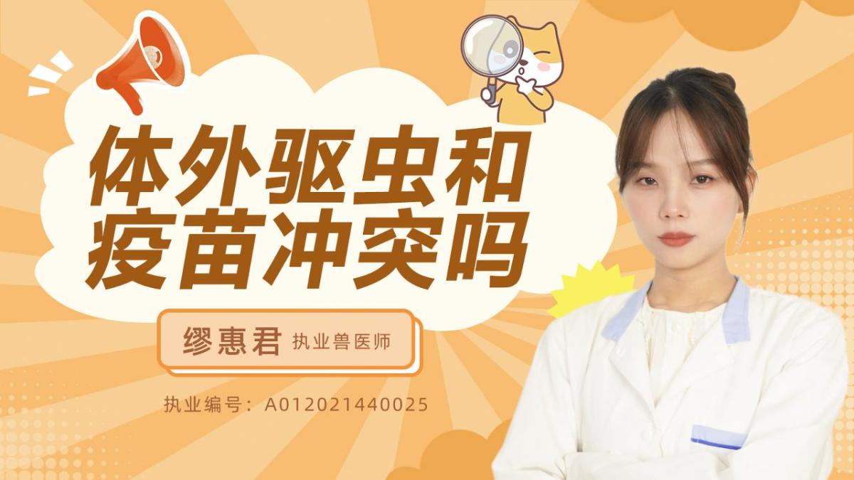体外驱虫和疫苗冲突吗？