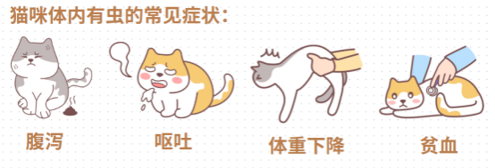 猫拉肚子的原因