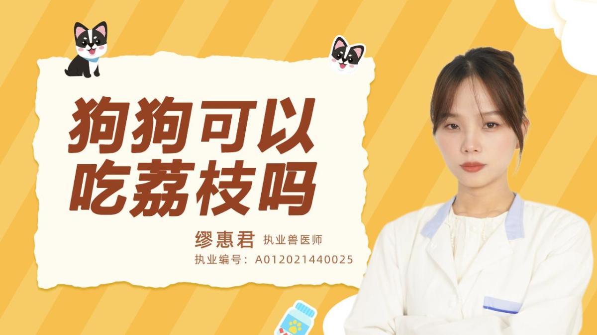 狗狗可以吃荔枝吗？