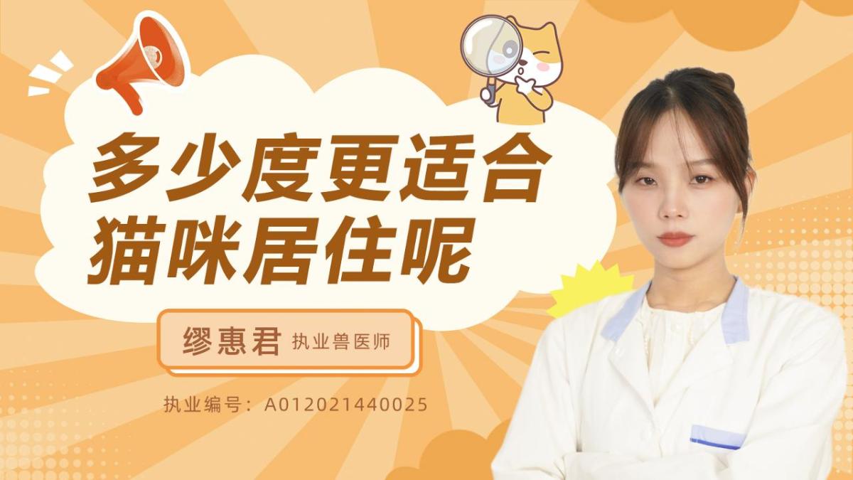 多少度更适合猫咪居住呢？