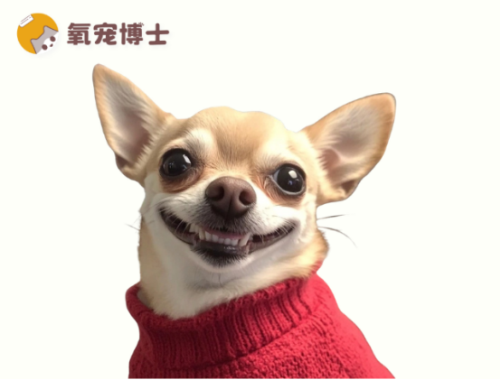 狗狗来例假自己会处理吗？