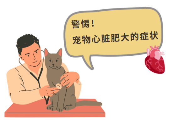 宠物犬猫心脏肥大的症状是什么？