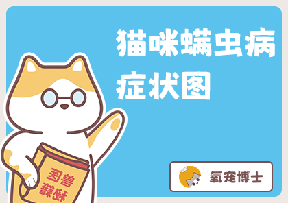 怎么判定猫咪得了螨虫皮肤病？附症状图！