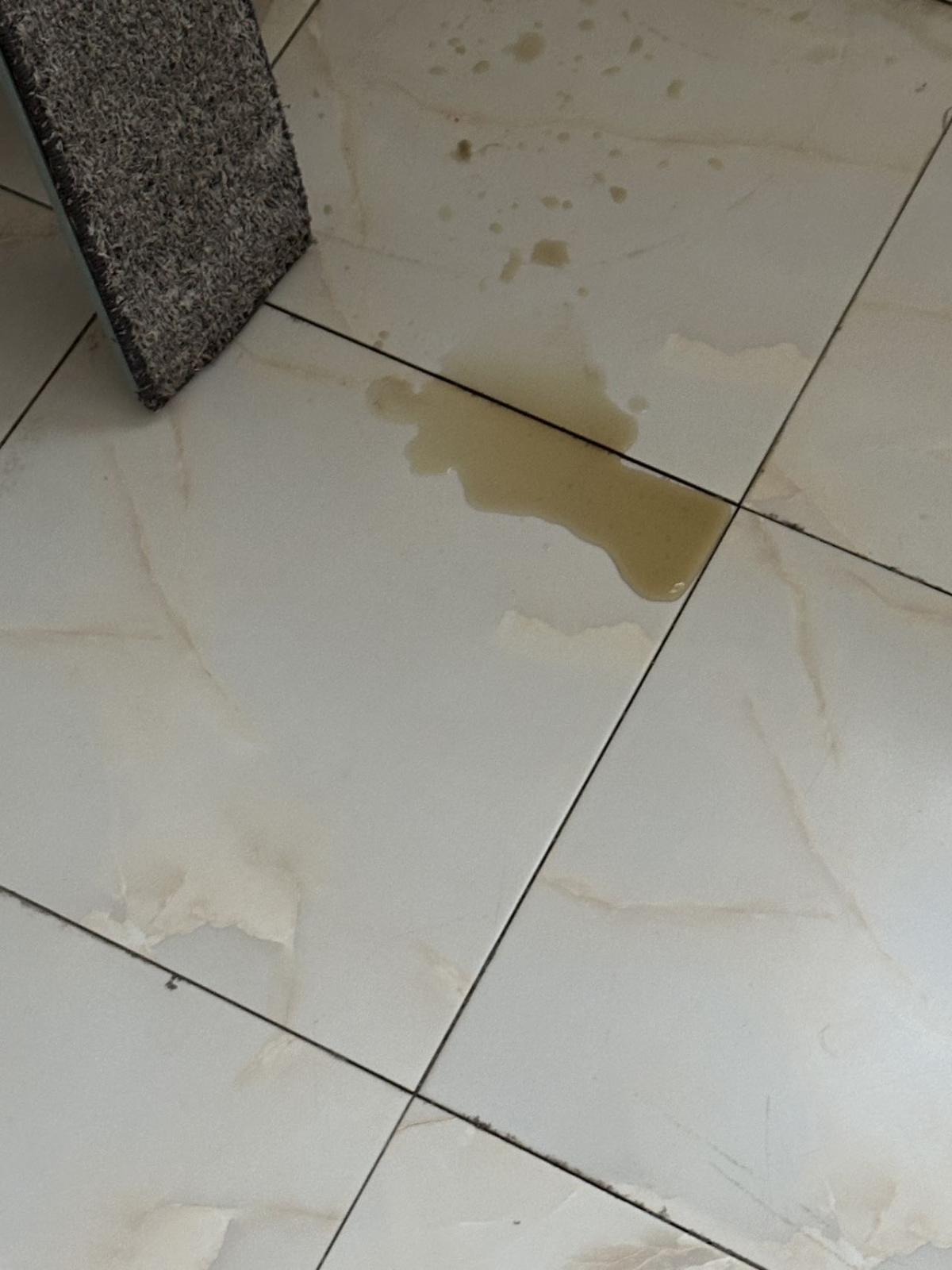 https://s.isdpp.com/images/fUARpnfZcyEseuxE