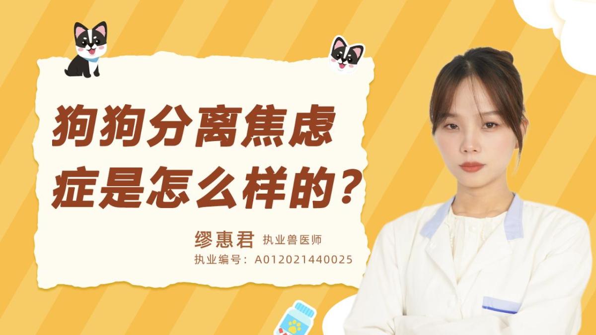狗狗分离焦虑症是怎么样的？