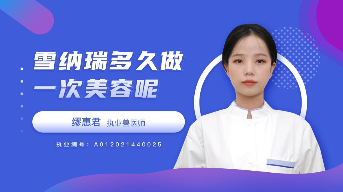 雪納瑞多久做一次美容？