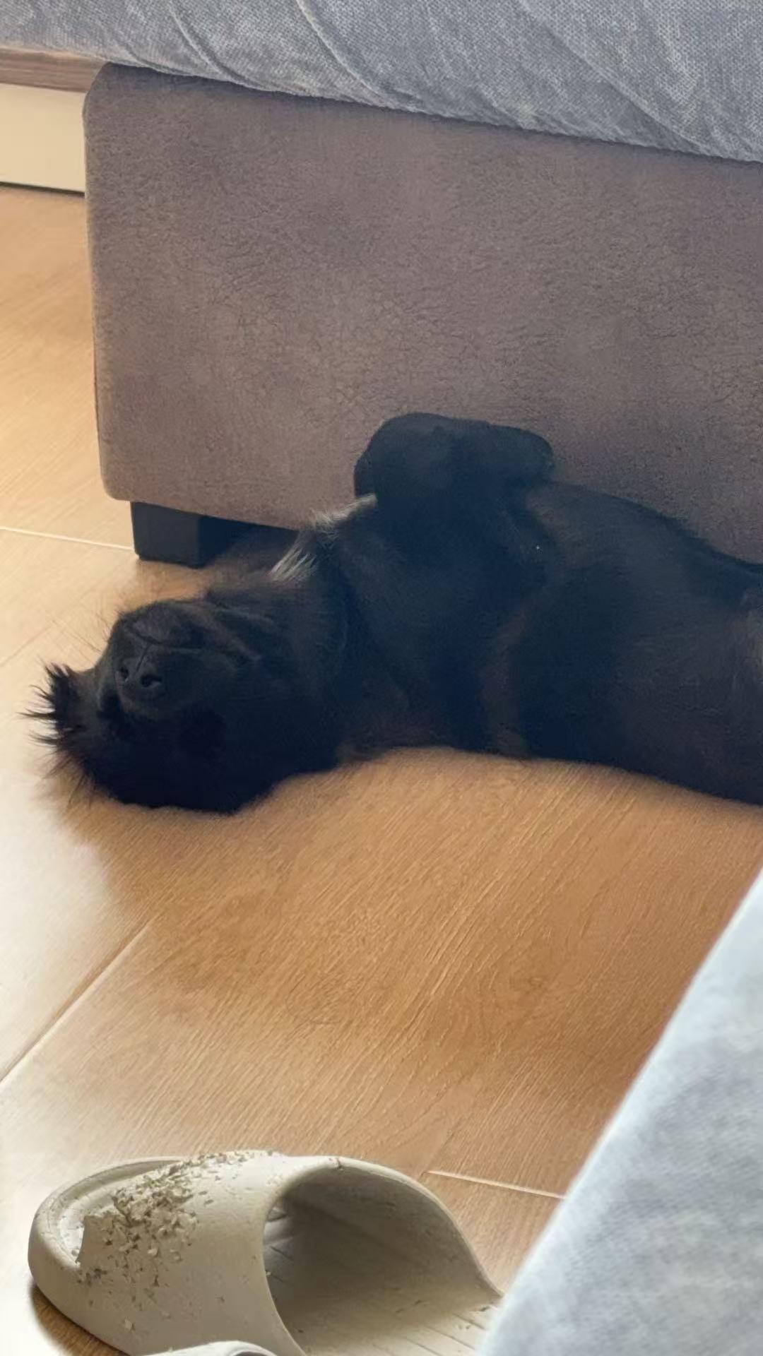 可乐