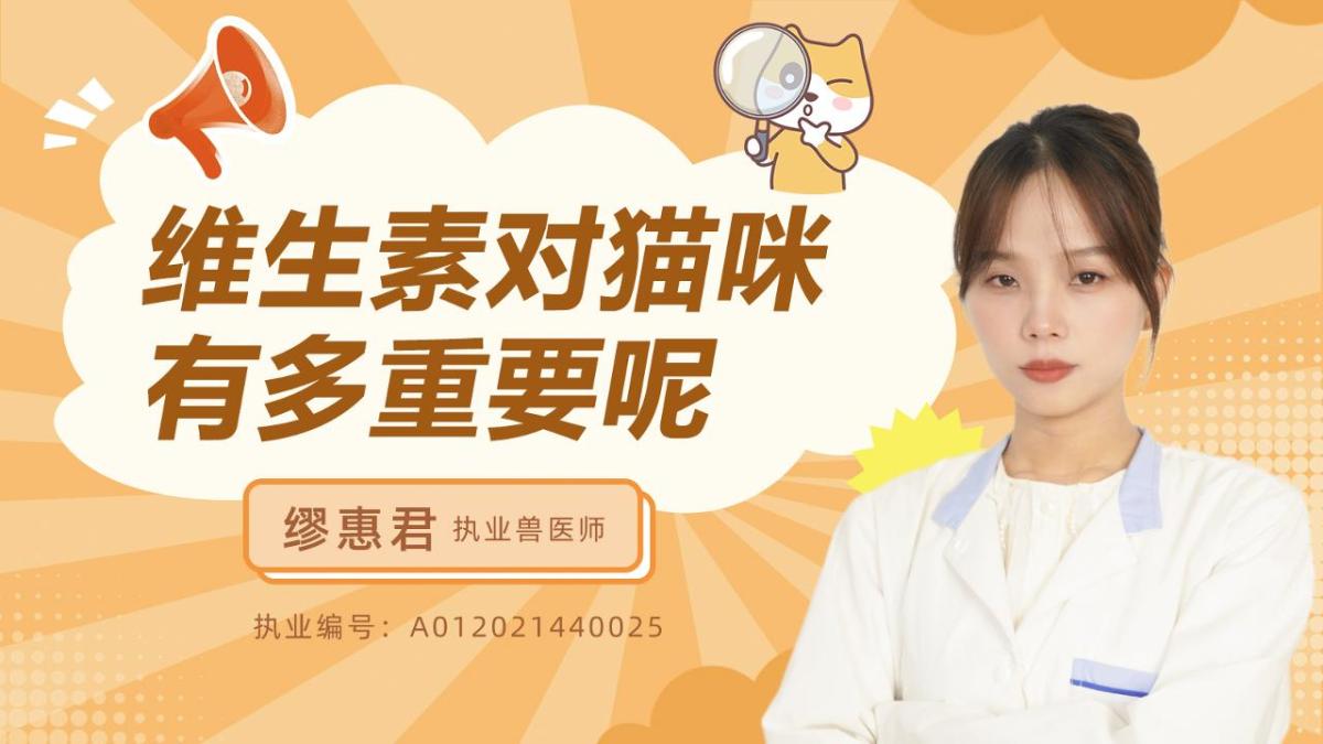 维生素对猫咪有多重要？