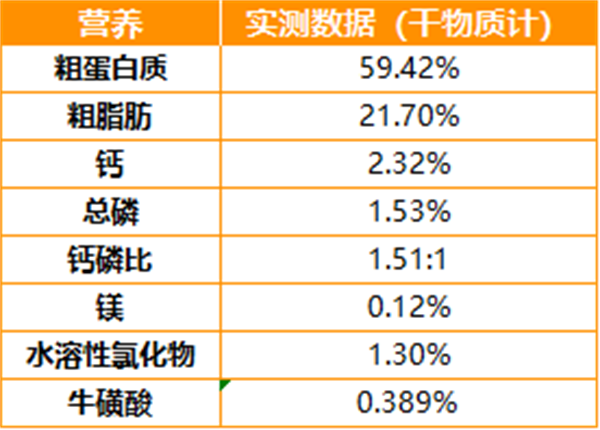 黑鼻頭主食罐測評