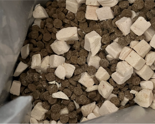 星速猫粮怎么样？