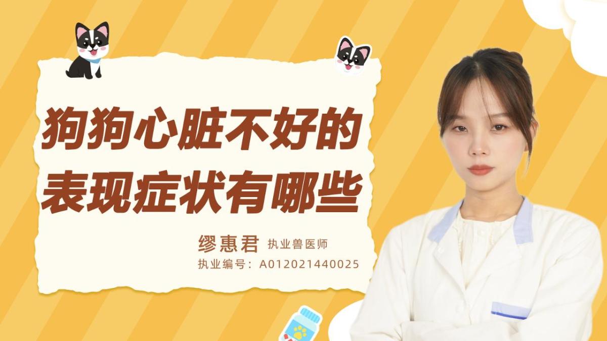 狗心脏不好的表现症状有哪些？