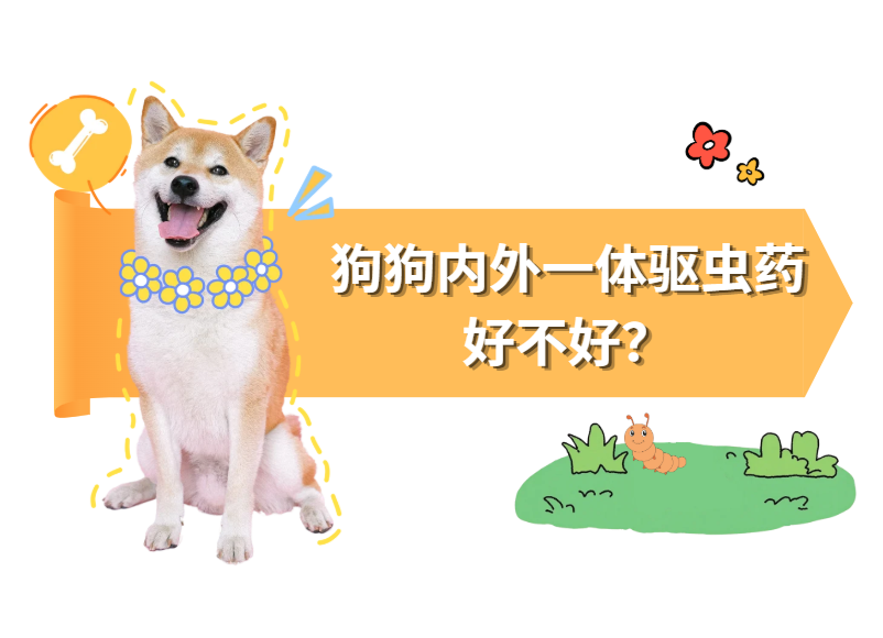狗狗内外一体驱虫药好不好？多久用一次？