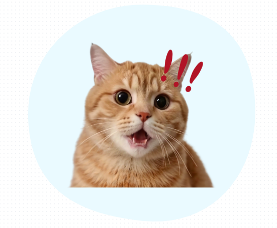 猫鼻支治好后会有后遗症吗？