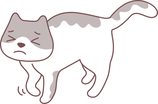 猫腿骨折了