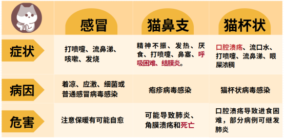 猫咪感冒了怎么办？