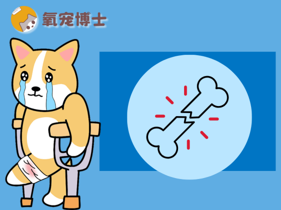 小狗腿骨折了能自愈吗？