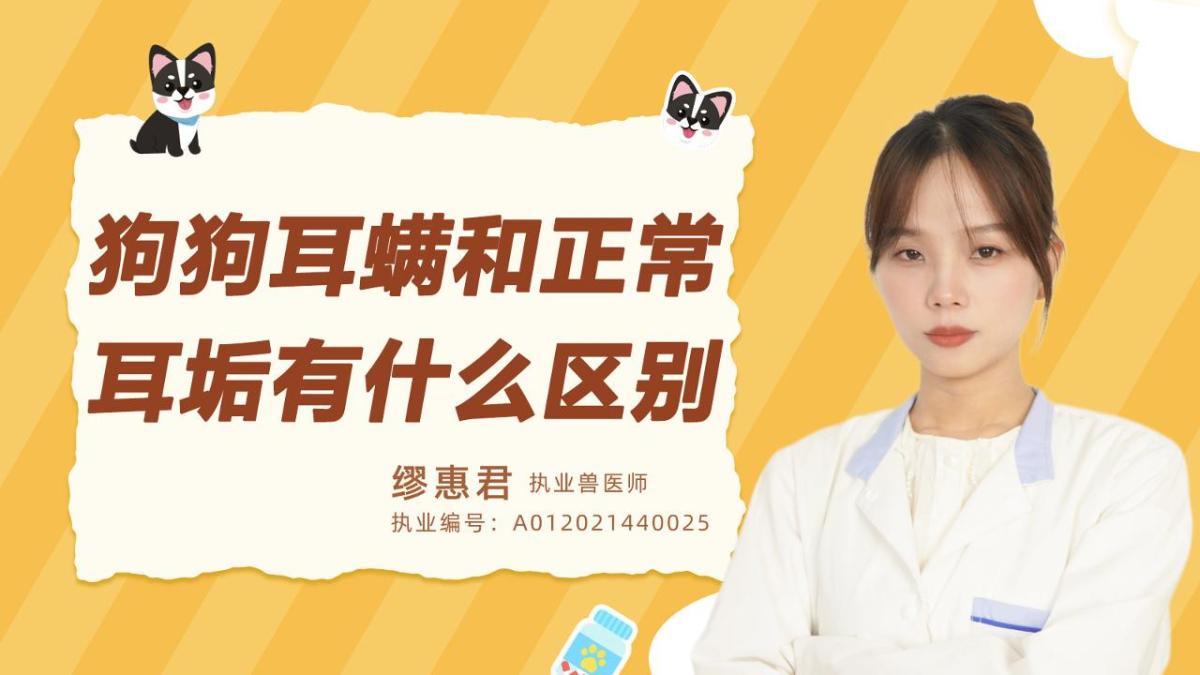 狗狗耳螨和正常耳垢有什么区别？
