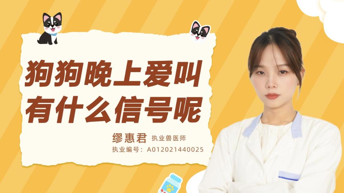 狗狗晚上爱叫时有什么信号呢？