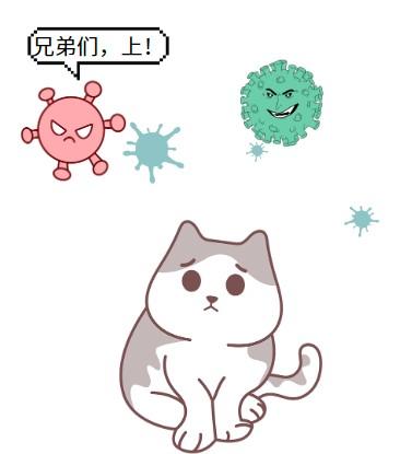 猫疱疹病毒会传染给人吗？