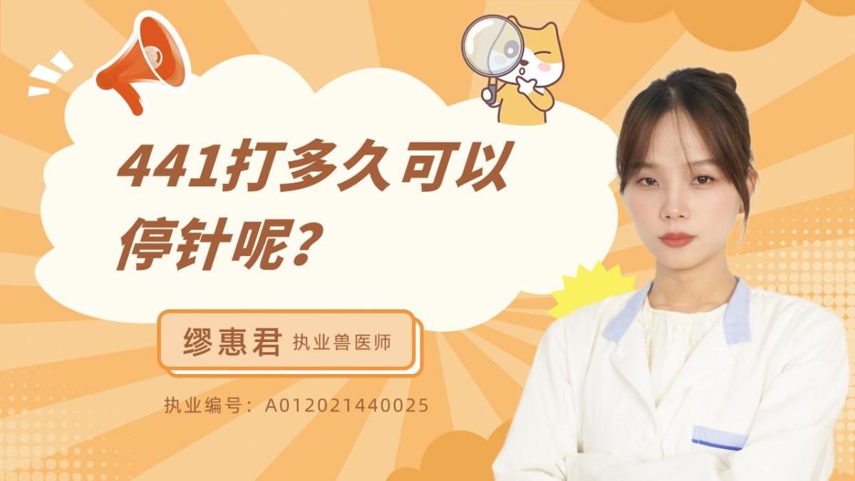 441打多久可以停针呢？