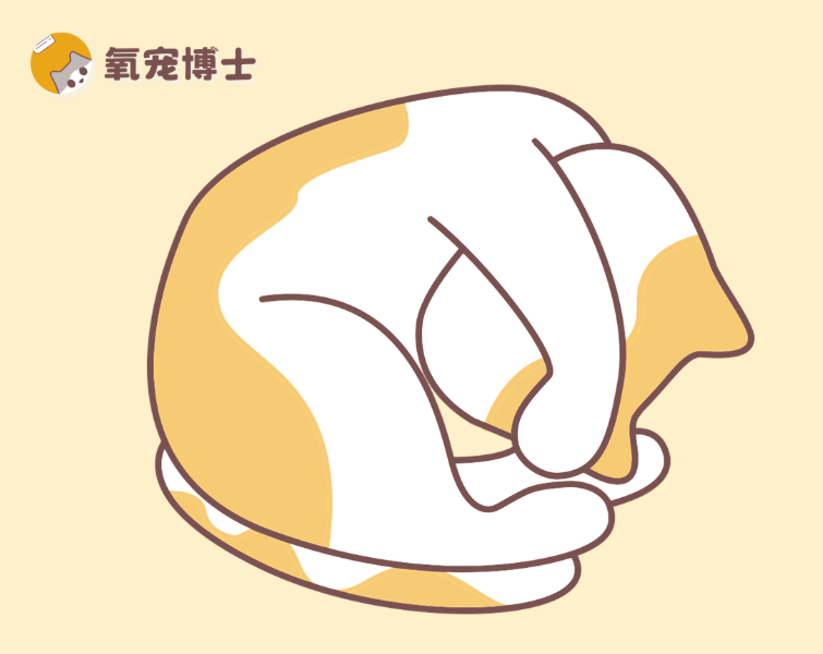 猫咪拆家、乱尿不是调皮，可能是分离焦虑症！