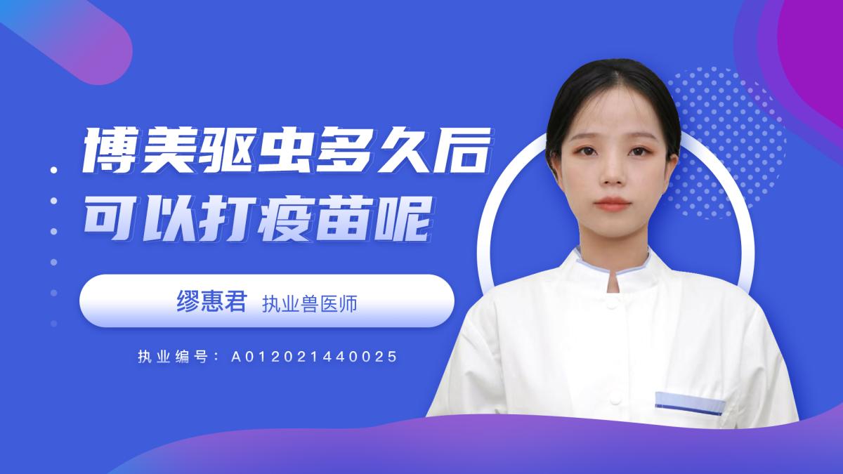 博美犬驱虫多久后可以打疫苗？