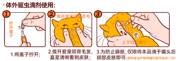 猫咪体外驱虫的正确方法图解