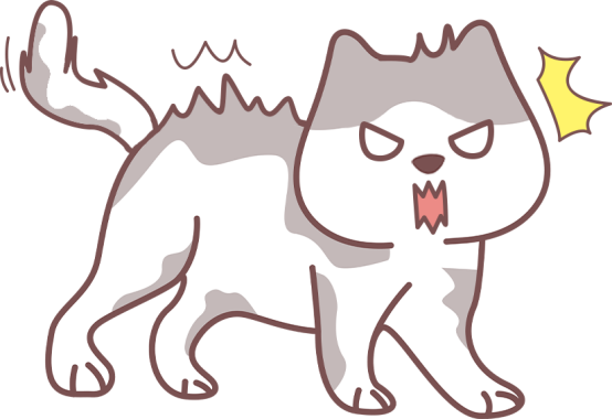猫尿血的原因