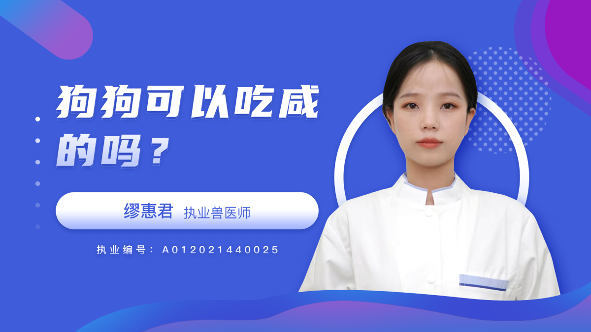 狗狗可以吃咸的吗？