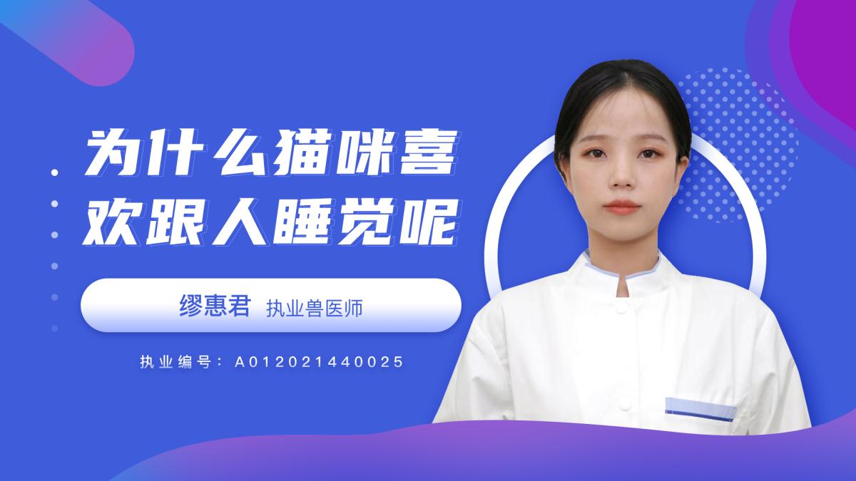 為什麼貓喜歡跟人睡覺呢？