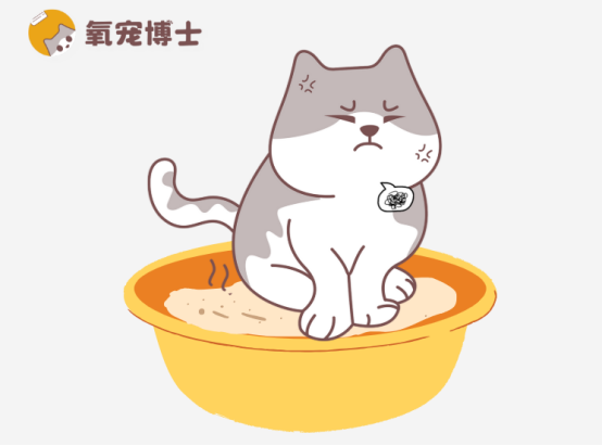 猫咪尿路感染吃什么药？