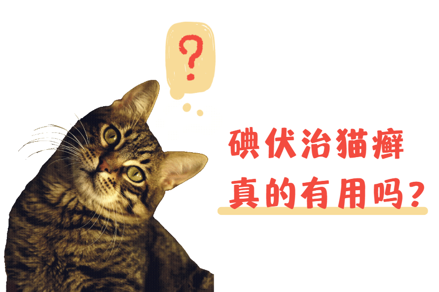 碘伏治猫癣真的有用吗？