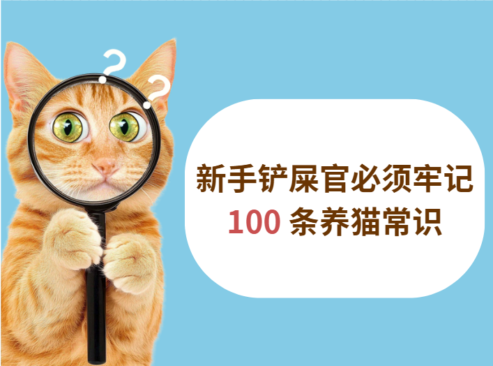 新手養貓必須牢記的100條常識