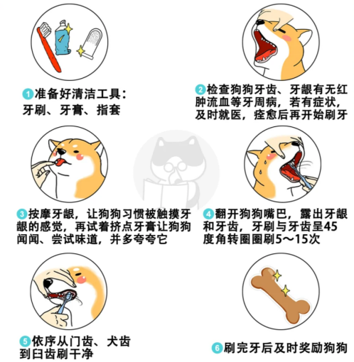 狗狗牙結石怎麼去除？