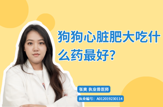 【宠医科普】狗狗心脏肥大吃什么药最好？