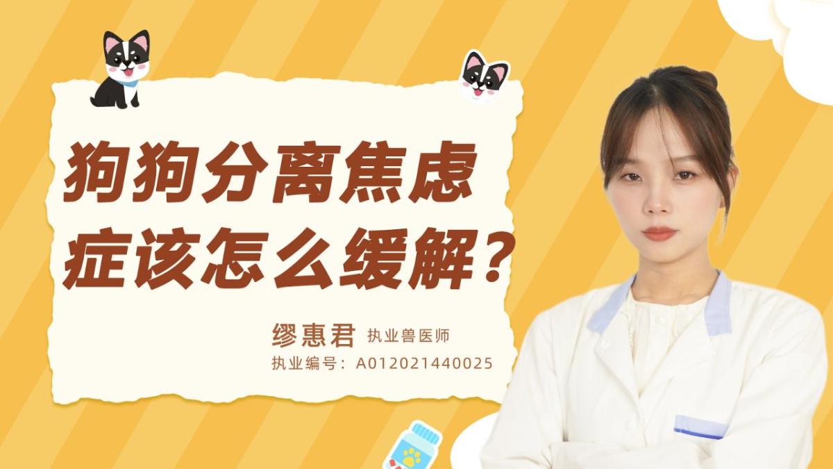 狗狗分離焦慮症該怎麼緩解？