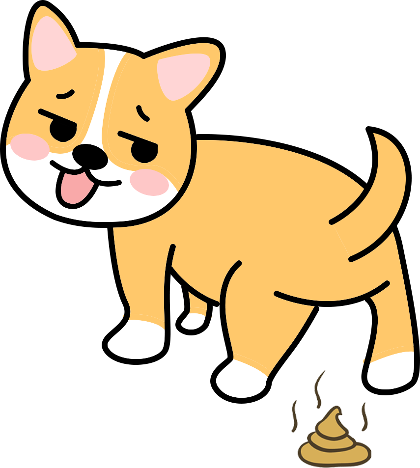 狗狗吃屎怎么纠正