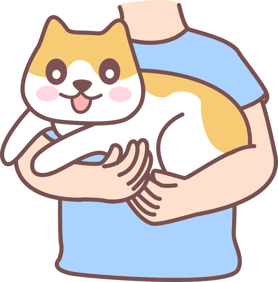 猫咪知道是你在养它、照顾它吗？