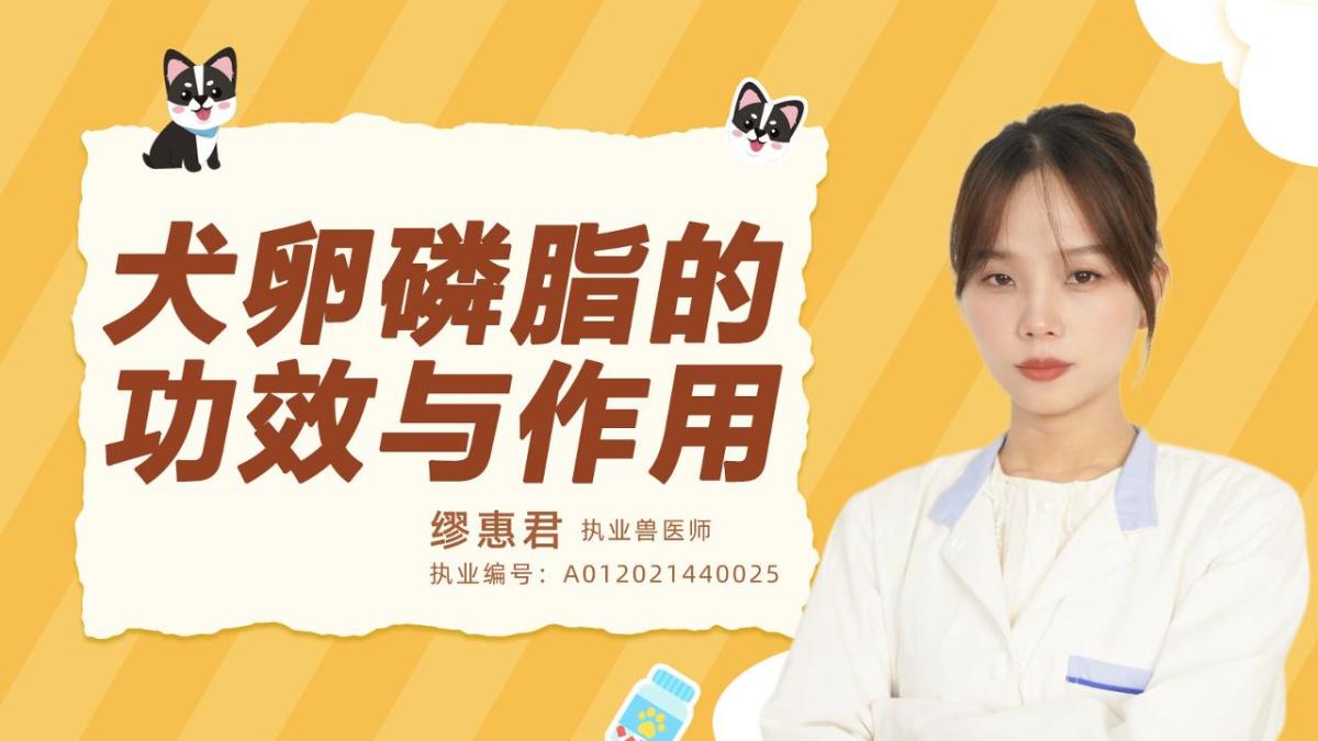 犬卵磷脂的功效與作用