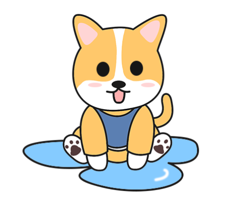 狗狗髌骨脱位