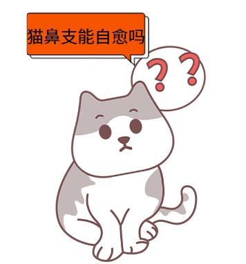 猫鼻支到底有无自愈的可能性？