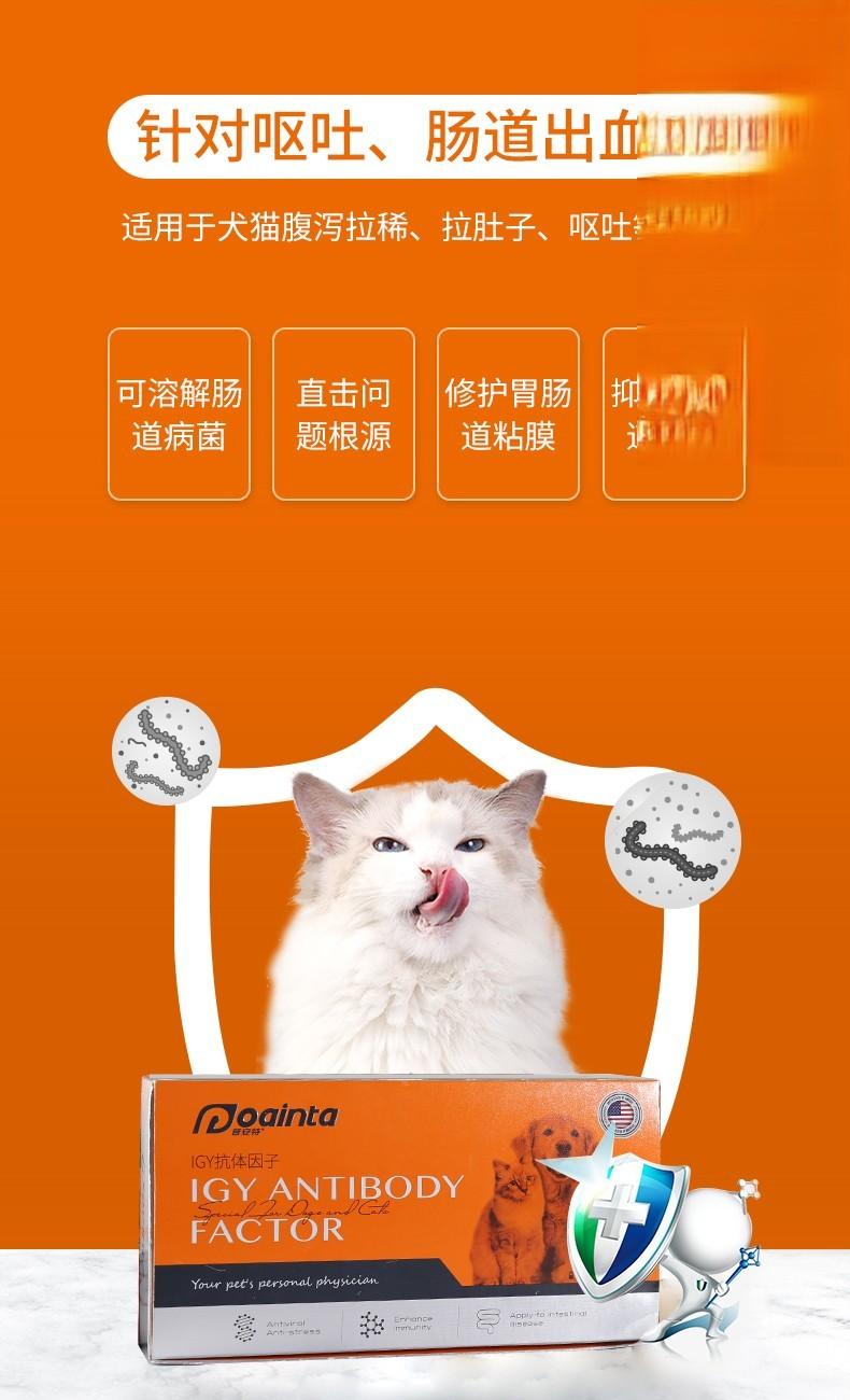 猫咪呕吐、肠道出血