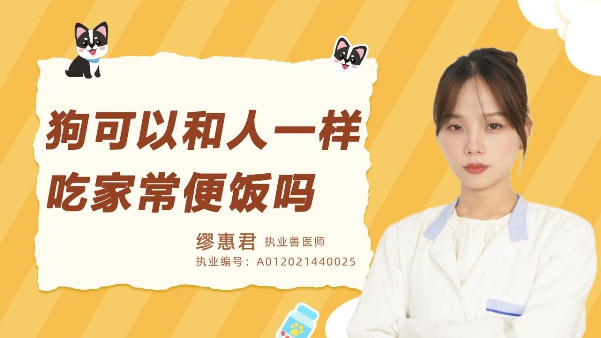 狗狗可以和人一样吃家常便饭吗？