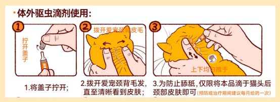猫咪体外驱虫的正确方法图解